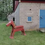 Mokki Kainula *