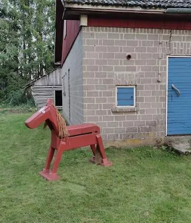 Mokki Kainula *